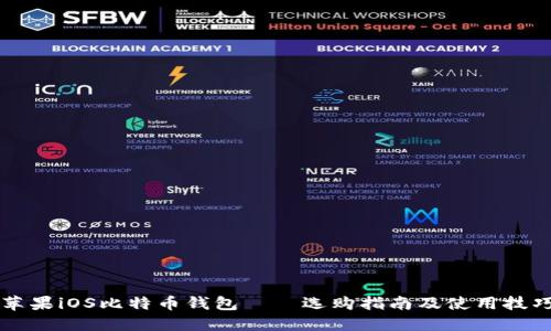 苹果iOS比特币钱包——选购指南及使用技巧