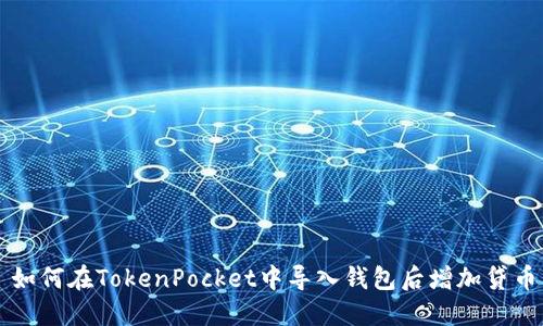 如何在TokenPocket中导入钱包后增加贷币