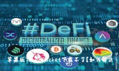 苹果版TokenPocket下载不了？如何解决