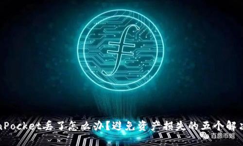 TokenPocket丢了怎么办?避免资产损失的五个解决方案