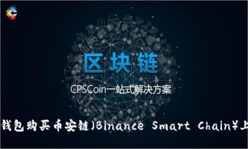 如何通过TP钱包购买币安链（Binance Smart Chain）上的数字货币