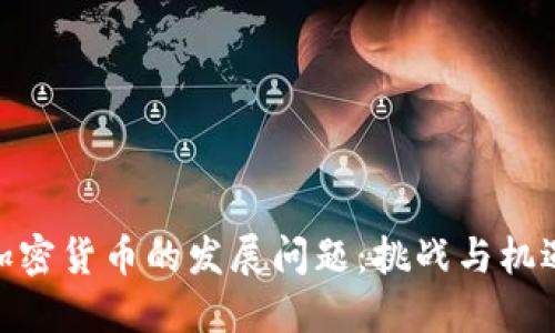 加密货币的发展问题：挑战与机遇
