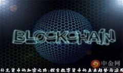 补充货币的加密之路：探索数字货币的未来趋势