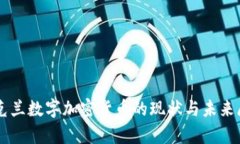 乌克兰数字加密货币的现状与未来展望