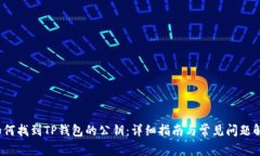  如何找到TP钱包的公钥：详细指南与常见问题解