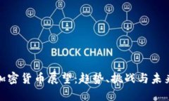 长期加密货币展望：趋势、挑战与未来机遇