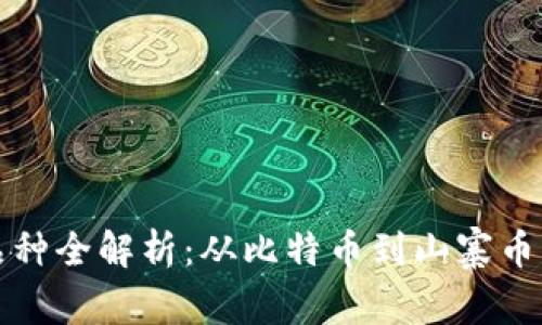 加密货币品种全解析：从比特币到山寨币的综合指南
