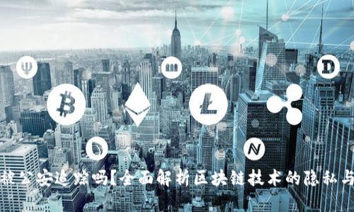 TP钱包能被公安追踪吗？全面解析区块链技术的隐私与追踪问题