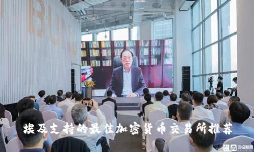埃及支持的最佳加密货币交易所推荐