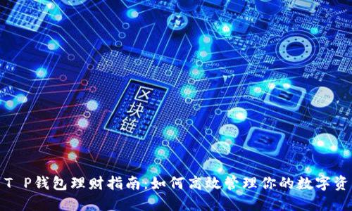 : T P钱包理财指南：如何高效管理你的数字资产