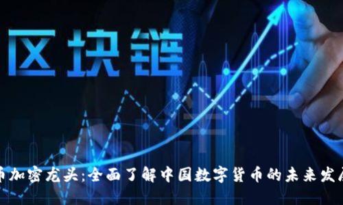 中国数字货币加密龙头：全面了解中国数字货币的未来发展与投资机会