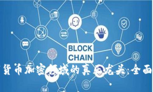 数字货币加密领域的真正龙头：全面解析