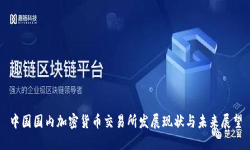 中国国内加密货币交易所发展现状与未来展望