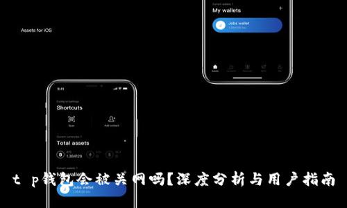 t p钱包会被关网吗？深度分析与用户指南