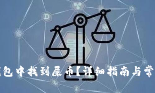 如何在TP钱包中找到屎币？详细指南与常见问题解答