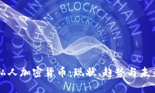 全球私人加密货币：现状、趋势与未来展望