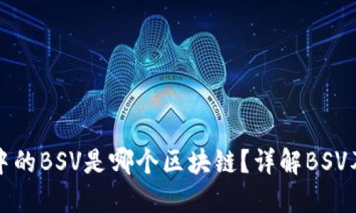 TP钱包中的BSV是哪个区块链？详解BSV及其特点