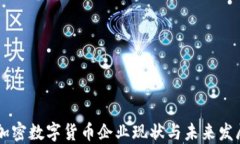 中国加密数字货币企业现状与未来发展展望