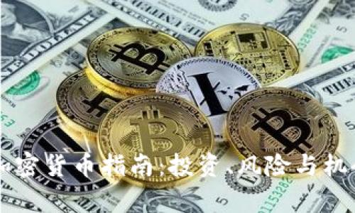 首发加密货币指南：投资、风险与机会分析