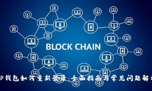 TP钱包如何重新登录：全面指南与常见问题解析
