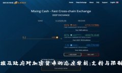埃及政府对加密货币的态度分析：支持与限制