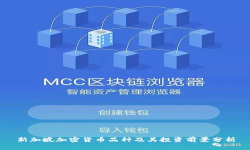 新加坡加密货币品种及其投资前景分析