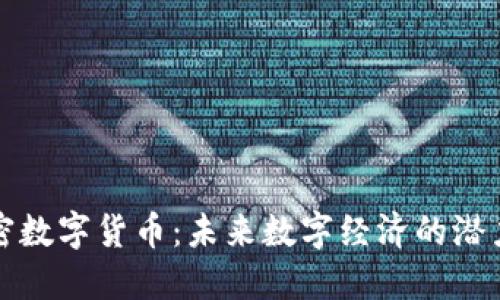 红币加密数字货币：未来数字经济的潜力与挑战