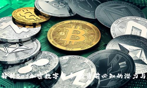 全面解析Bef加密数字货币：投资前必知的潜力与风险