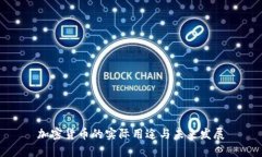 加密货币的实际用途与未来发展