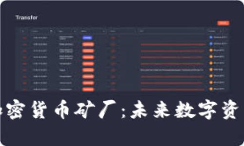 探索迪拜的加密货币矿厂：未来数字资产的财富宝藏