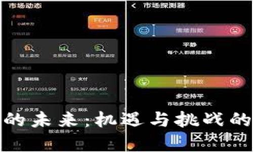 加密货币的未来：机遇与挑战的深度探讨