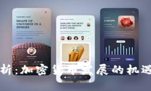 深入分析：加密货币发展的机遇与挑战