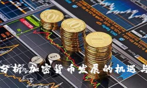 深入分析：加密货币发展的机遇与挑战