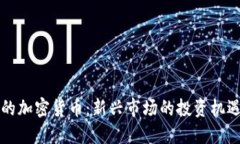 大公司的加密货币：新兴市场的投资机遇与挑战