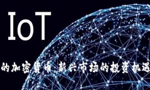大公司的加密货币：新兴市场的投资机遇与挑战