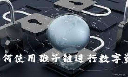 TP钱包如何使用猴子链进行数字资产管理？