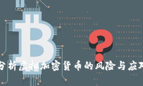 深入分析虚拟加密货币的风险与应对策略