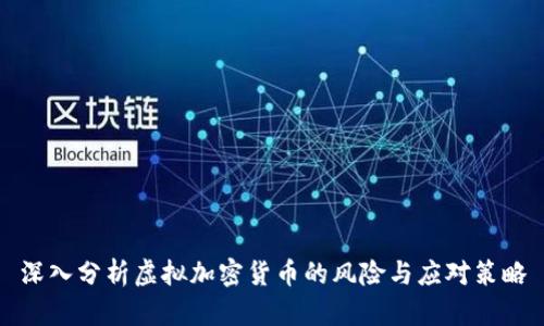 深入分析虚拟加密货币的风险与应对策略