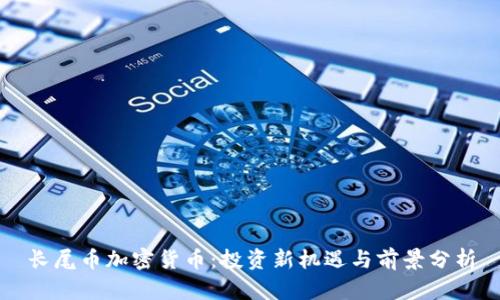 长尾币加密货币：投资新机遇与前景分析