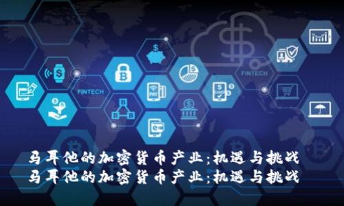 马耳他的加密货币产业：机遇与挑战  
马耳他的加密货币产业：机遇与挑战
