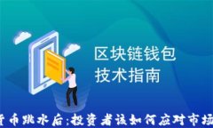 加密货币跳水后：投资者该如何应对市场波动？