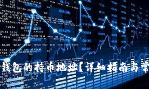 如何查询TP钱包的持币地址？详细指南与常见问题解答