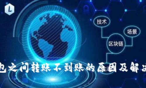 TP钱包之间转账不到账的原因及解决方案