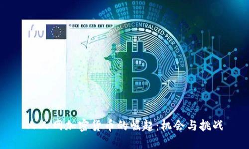 人人网加密货币的崛起：机会与挑战