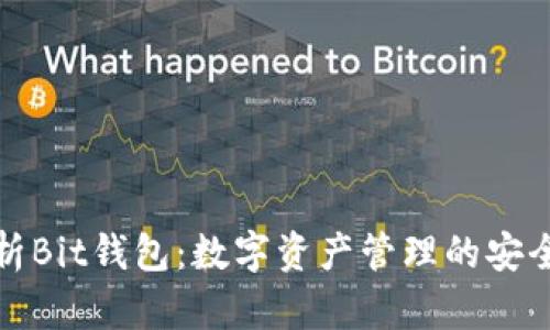 全面解析Bit钱包：数字资产管理的安全与便利