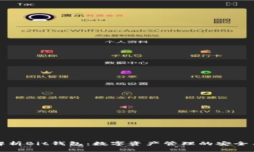 全面解析Bit钱包：数字资产管理的安全与便利