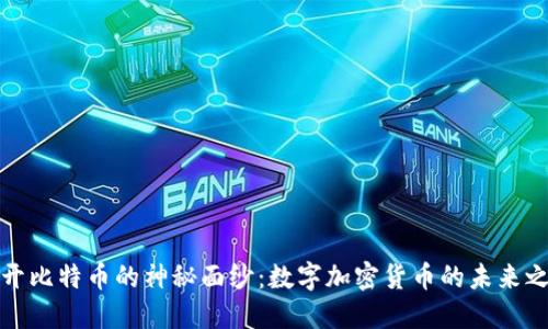 揭开比特币的神秘面纱：数字加密货币的未来之路