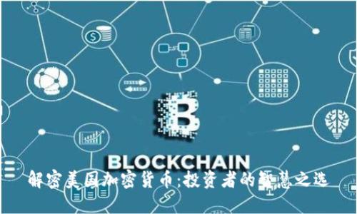 解密美国加密货币：投资者的智慧之选