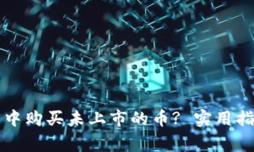 如何在TP钱包中购买未上市的币? 实用指南与注意事项