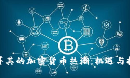 探索土耳其的加密货币热潮：机遇与挑战并存